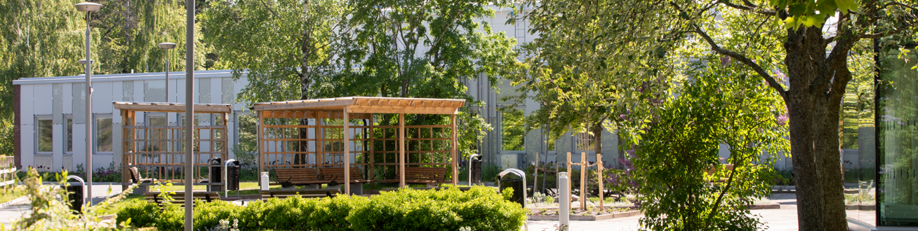 Lummig innergård med pergola och parkbänkar.