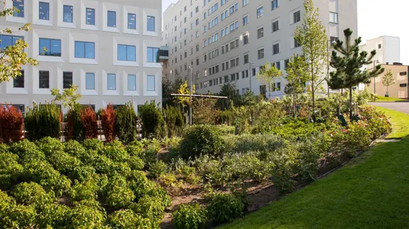 En bild på fastigheter och utomhusmiljön vid Södersjukhuset.