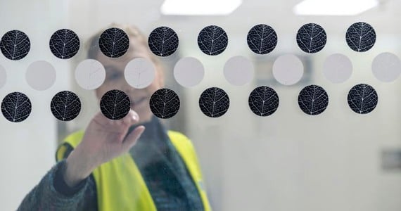 Zdenka visar svarta och vita runda tillgänglighetsmarkörer på en glasdörr.