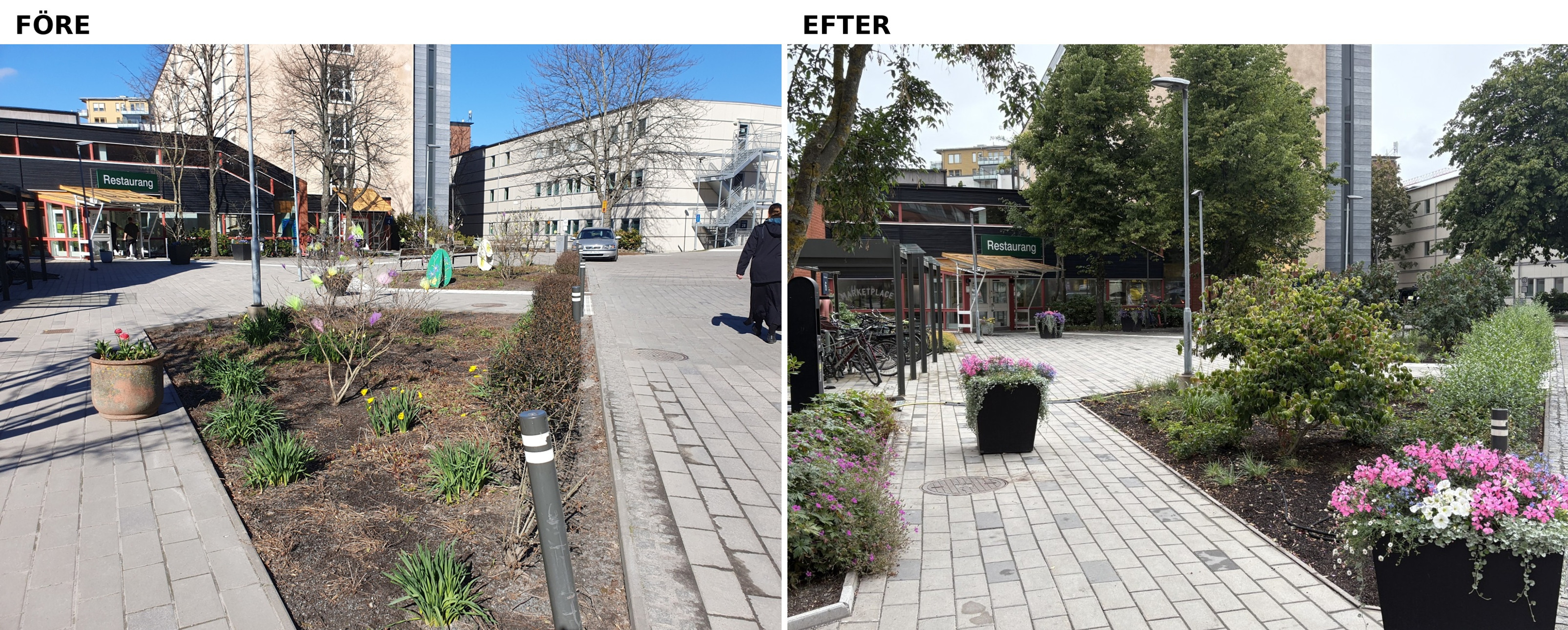 Två bilder som visar byggnader och blommor