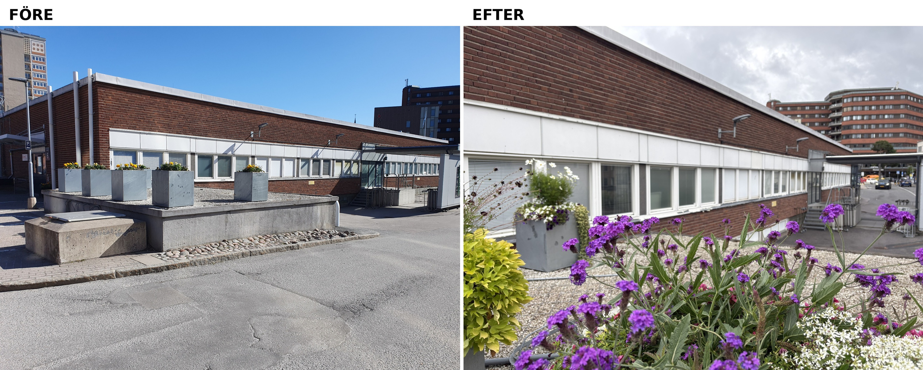 Två bilder som visar byggnader och blommor