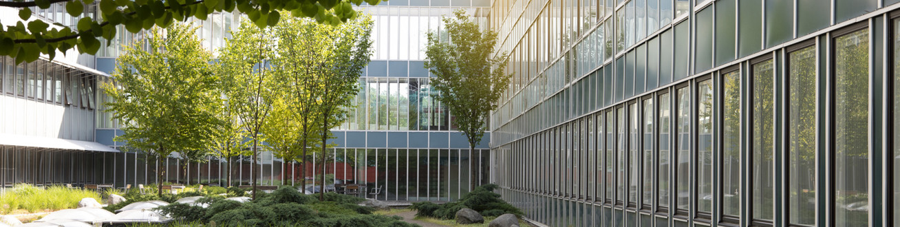 Grönskande innergård vid Danderyds sjukhus.