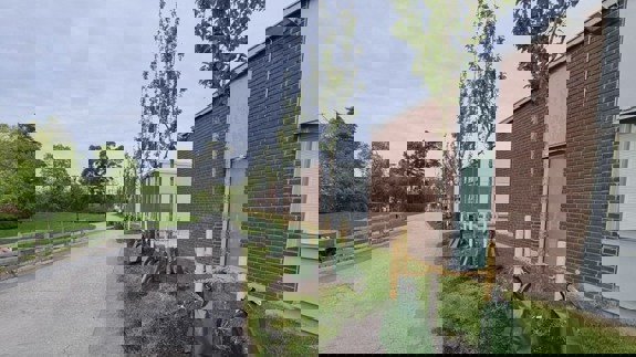 En asfalterad väg framför en tegelbyggnad med nyplanterade körsbärsträd längs vägen.