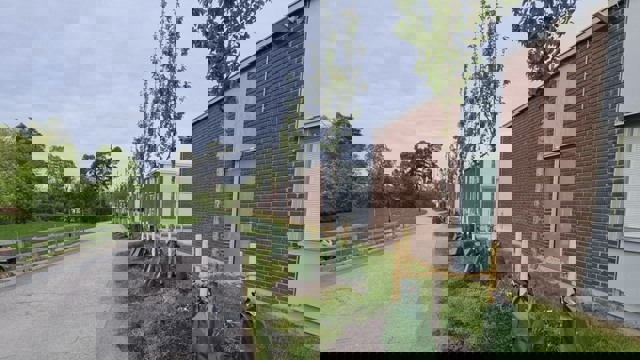 En asfalterad väg framför en tegelbyggnad med nyplanterade körsbärsträd längs vägen.