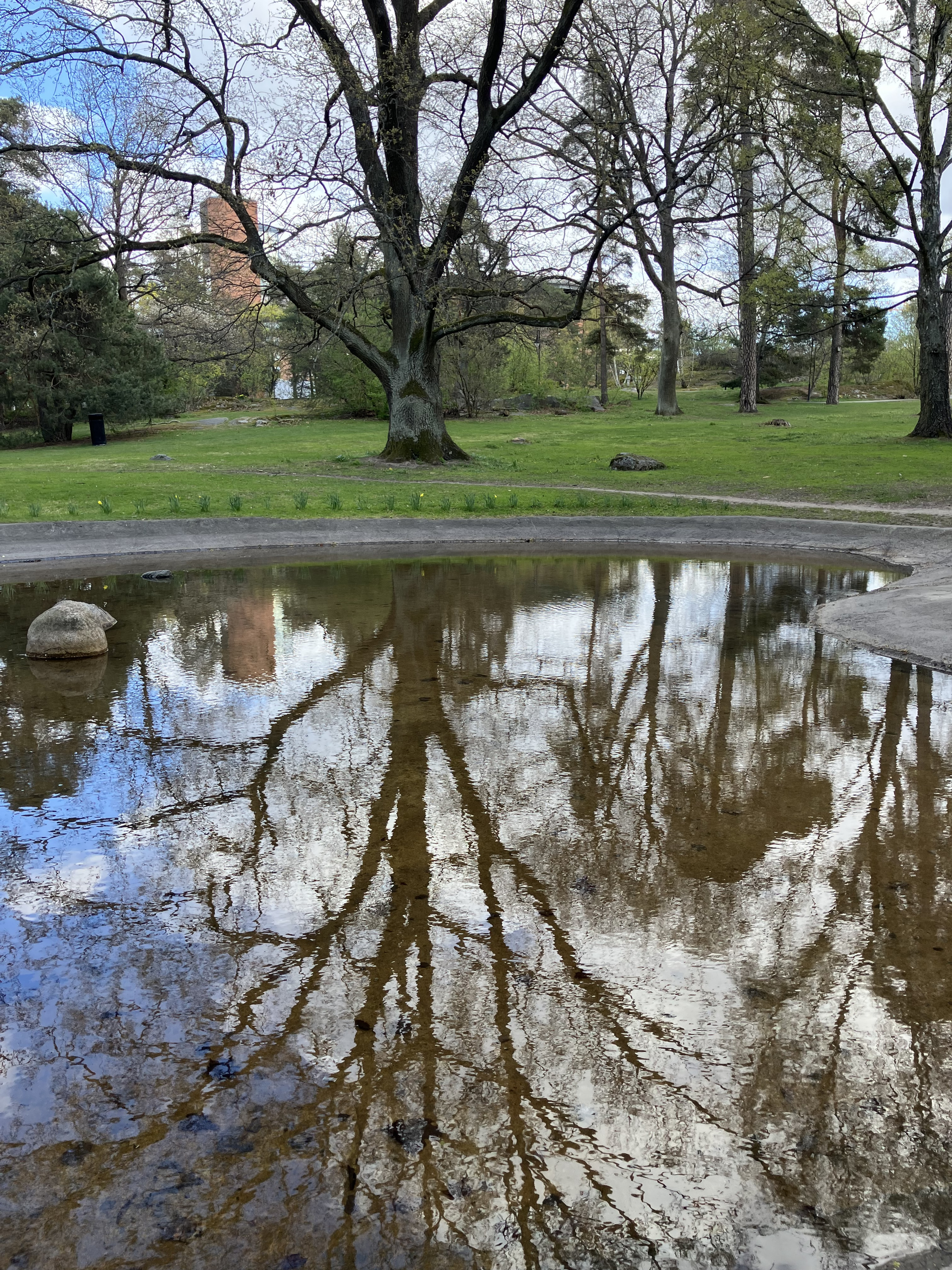En reflektion av tr&auml;d i en damm i en park.