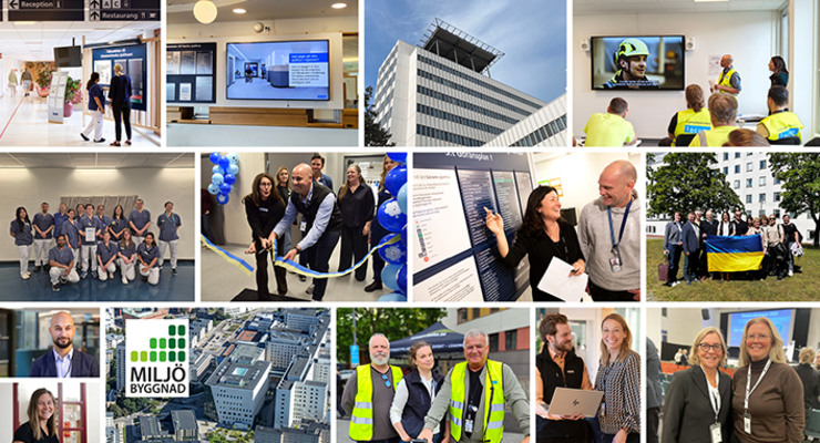 Ett kollage med foton av m&auml;nniskor och byggnader.