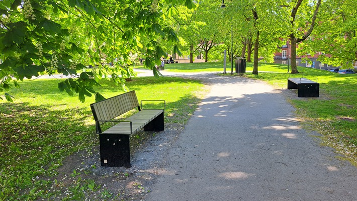 Gångväg genom en grönskande park.