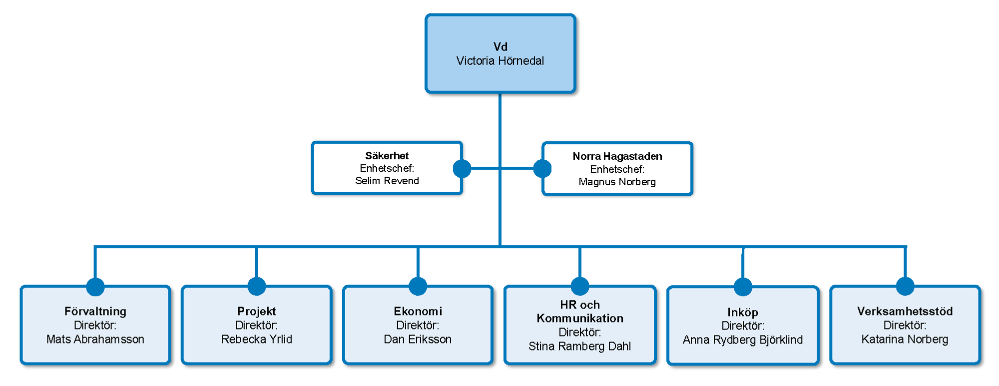 Organisationsschema