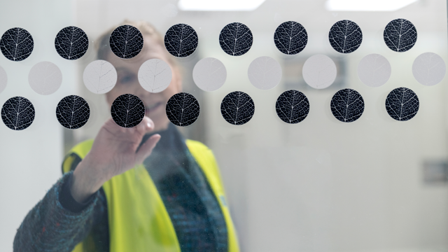 En person visar vita och svarta tillgänglighetsmarkörer på en glasdörr.