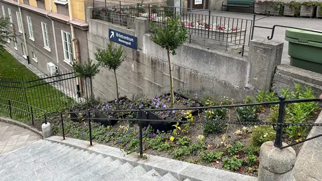 En vy över trappan som går till Mariebergsgatan. Nya planteringar.
