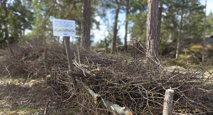 Rishäck är ett vindskydd för fåglar och smådjur.