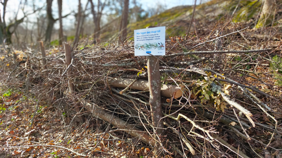 Skylt vid en rishäck som beskriver att rishäcken är ett vindskydd för fåglar och smådjur.