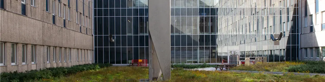 Ett gräsbevuxet fält framför en byggnad.