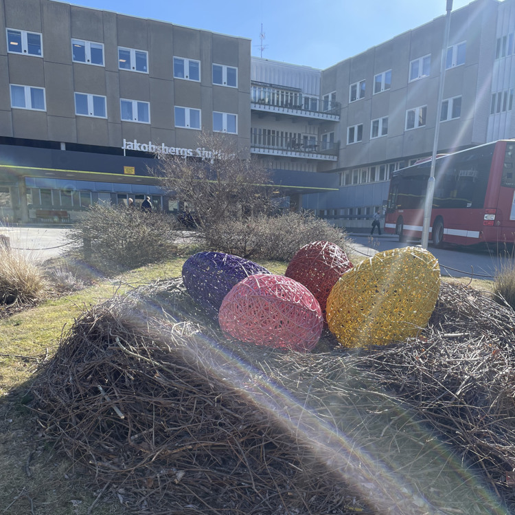 Stort f&aring;gelbo p&aring; gr&auml;smatta med f&auml;rgglada p&aring;sk&auml;gg utanf&ouml;r sjukhusentr&eacute;n.