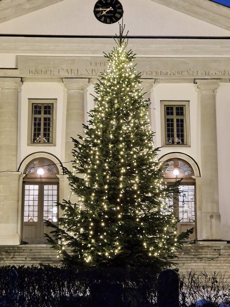 En stor julgran framför Landstingshuset.