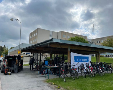 En grupp cyklar parkerade bredvid varandra framför cykelförrådet.
