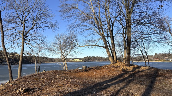Udde med tr&auml;d och sittplats med utsikt &ouml;ver Ulriksdals slott.