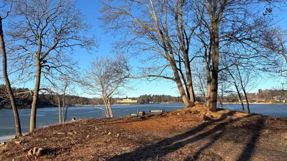 Udde med träd och sittplats med utsikt över Ulriksdals slott.