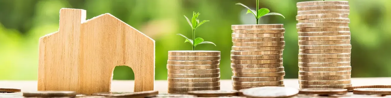 Myntstaplar med ett hus och ett träd som växer ut ur dem.