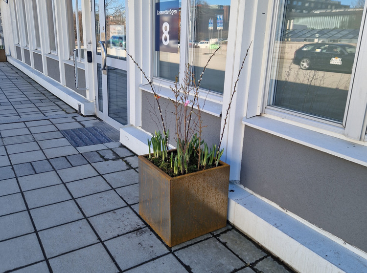 En plantering utanf&ouml;r en byggnad p&aring; en trottoar.