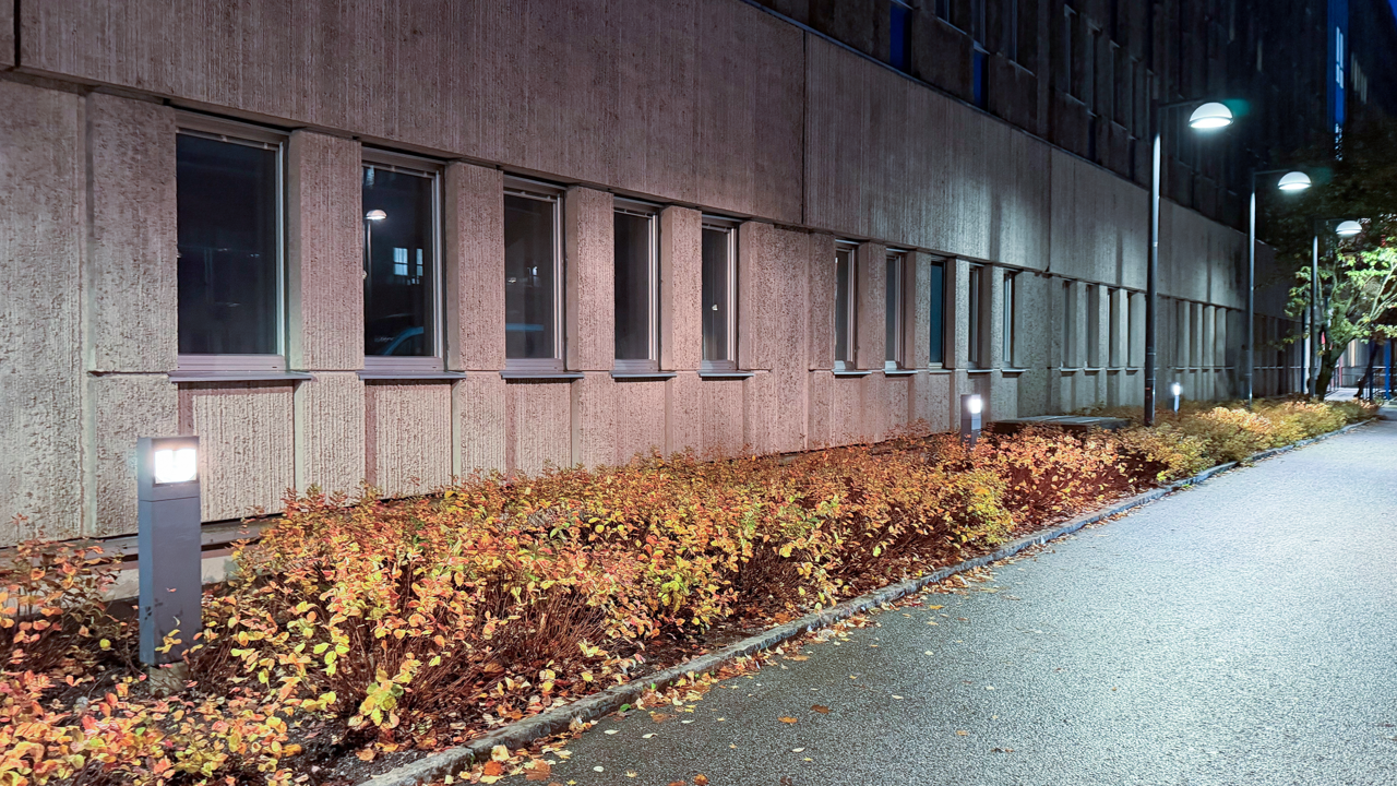 En gata kantad av v&auml;xter intill en byggnad.