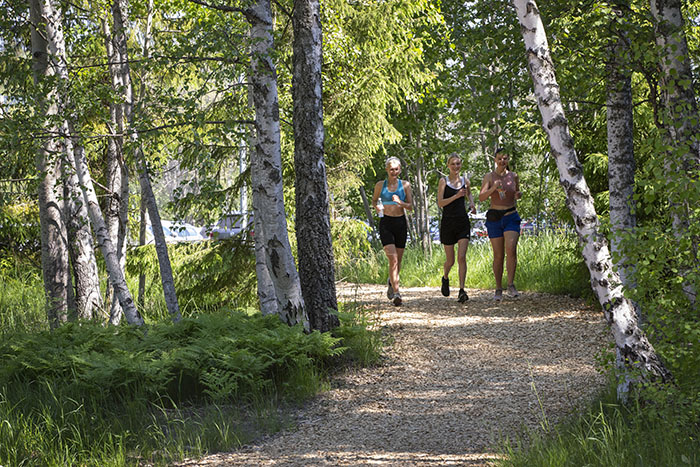 Motionsspår_Huddinge_sjukhuspark_700px.jpg