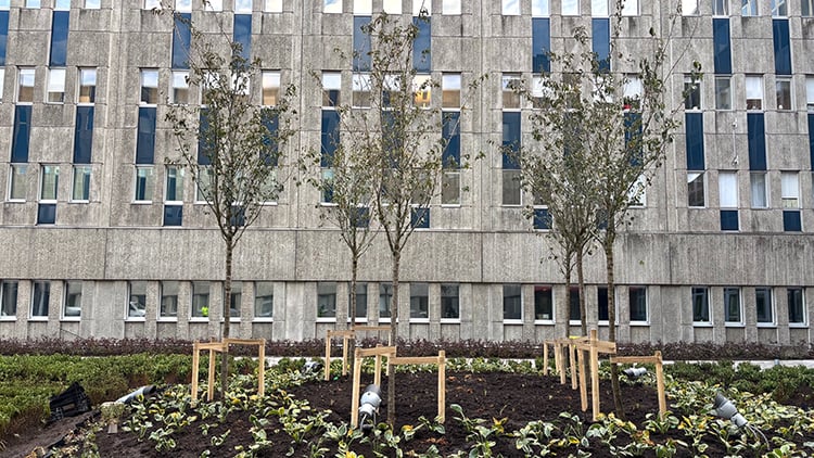 Plantering_10_red_750px.jpg