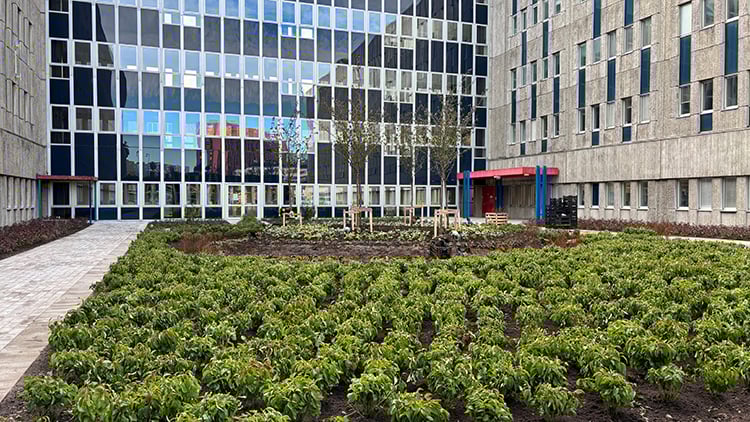 Plantering_12_red_750px.jpg