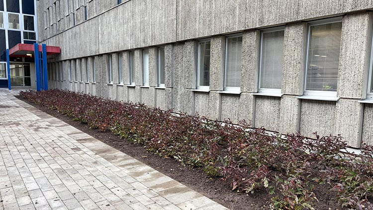 Plantering_9_750px.jpg