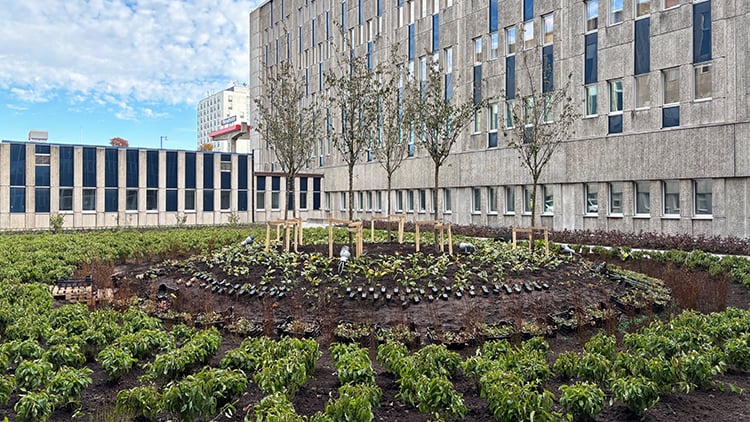Plantering_M1_750px.jpg