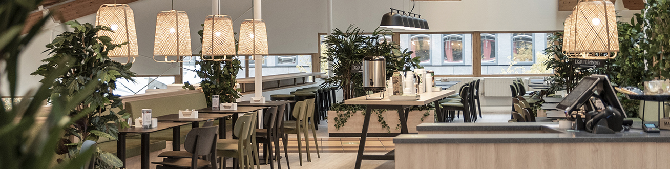 Interiören på Göran Terrassen.  Grön växt i förgrunden och bord i ljus björk och stolar i bakgrunden. 