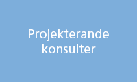 Projekterande konsulter