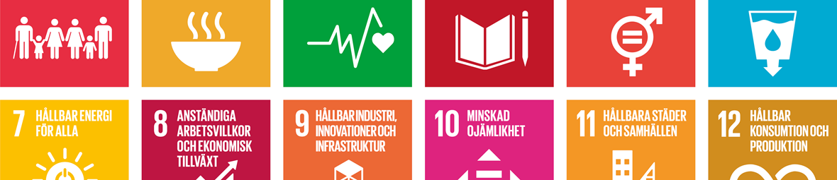 Ett urval av FN:s globala mål.