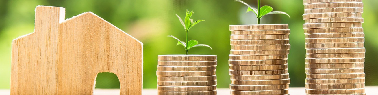 Ett hus av trä och tre staplar med mynt som det växer ett skott ur.