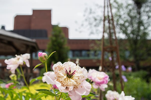 Omgivning vid Löwenströmska sjukhuset