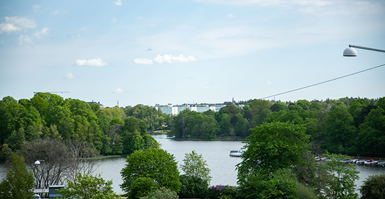 Utsikt mot Hagaparken från Solna sjukhusområde.