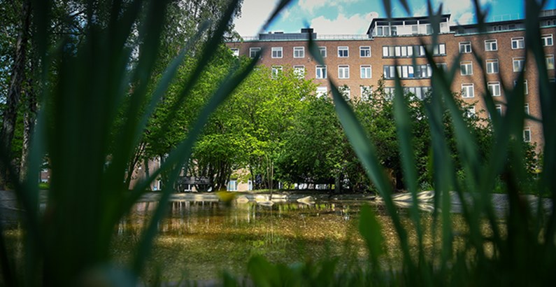 Utemiljö park Solna sjukhusområde.